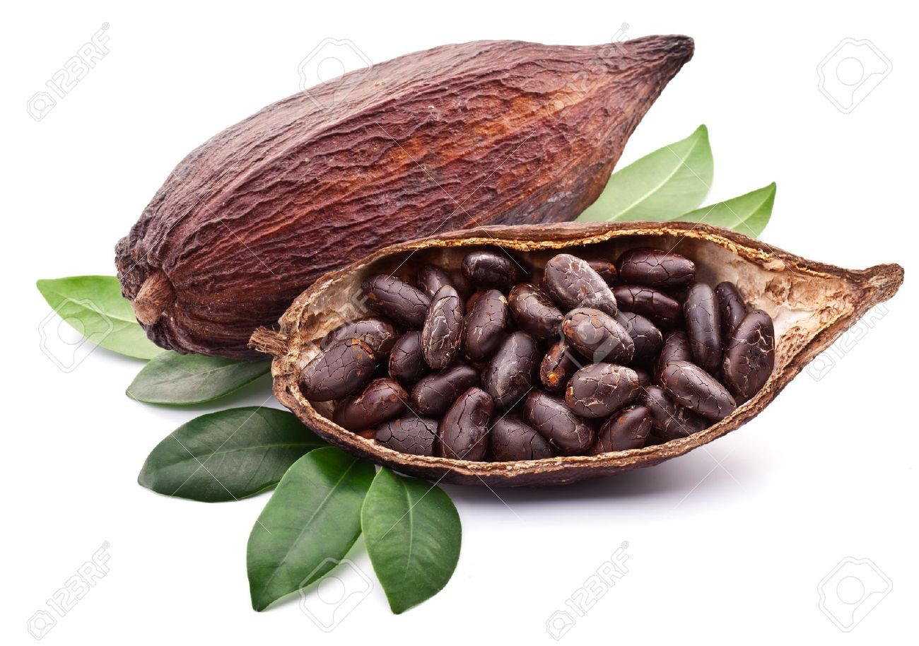 Cacao #2