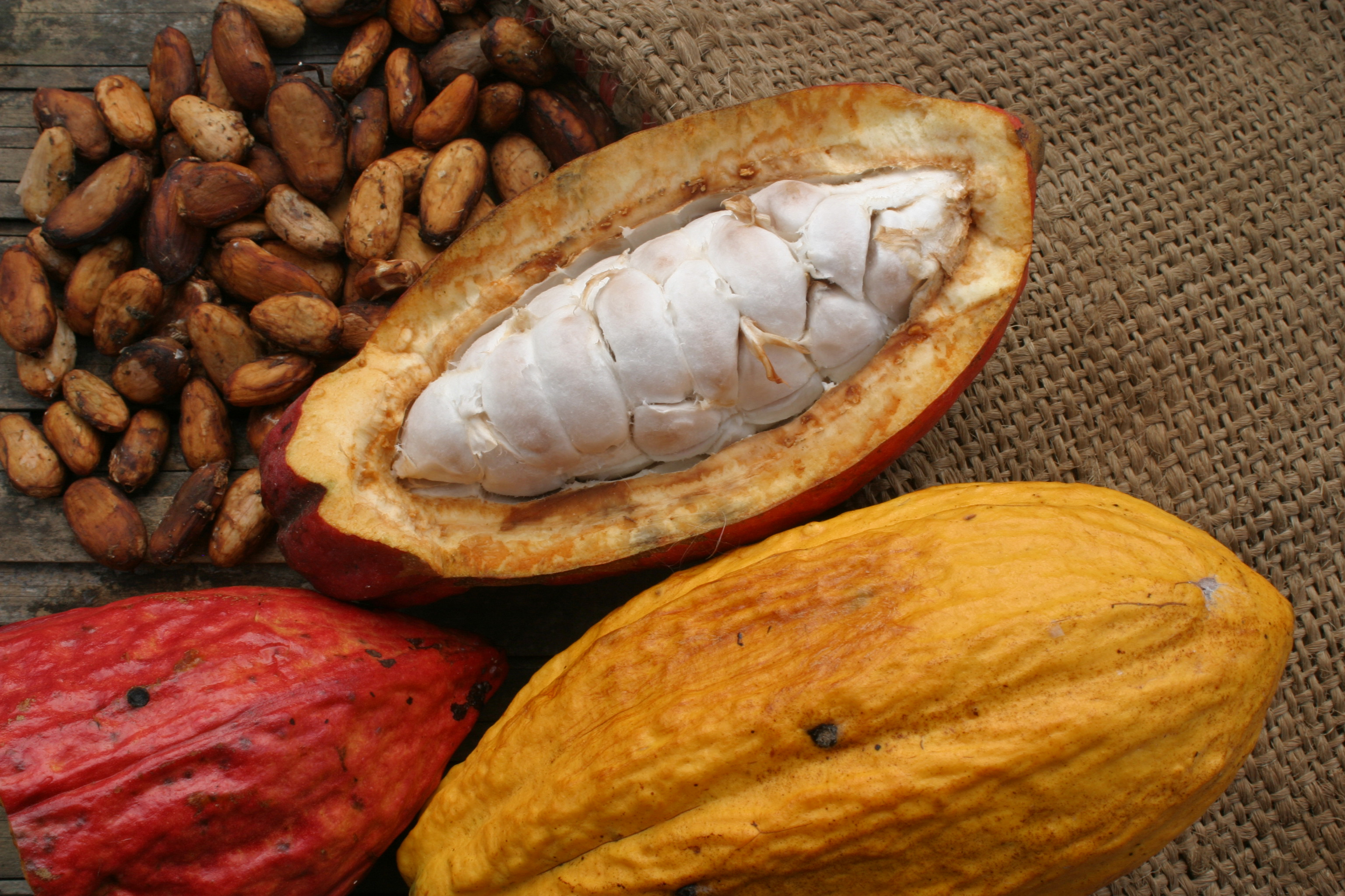 Amazing Cacao Pictures & Backgrounds