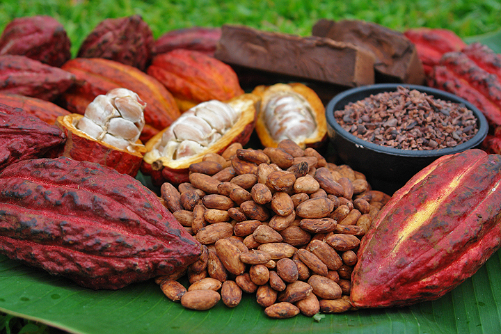 Nice Images Collection: Cacao Desktop Wallpapers
