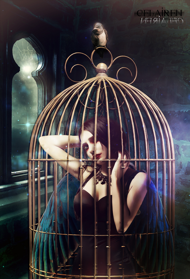 Caged #21