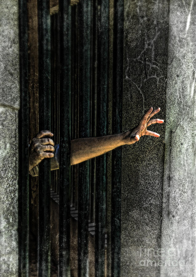 Caged #13