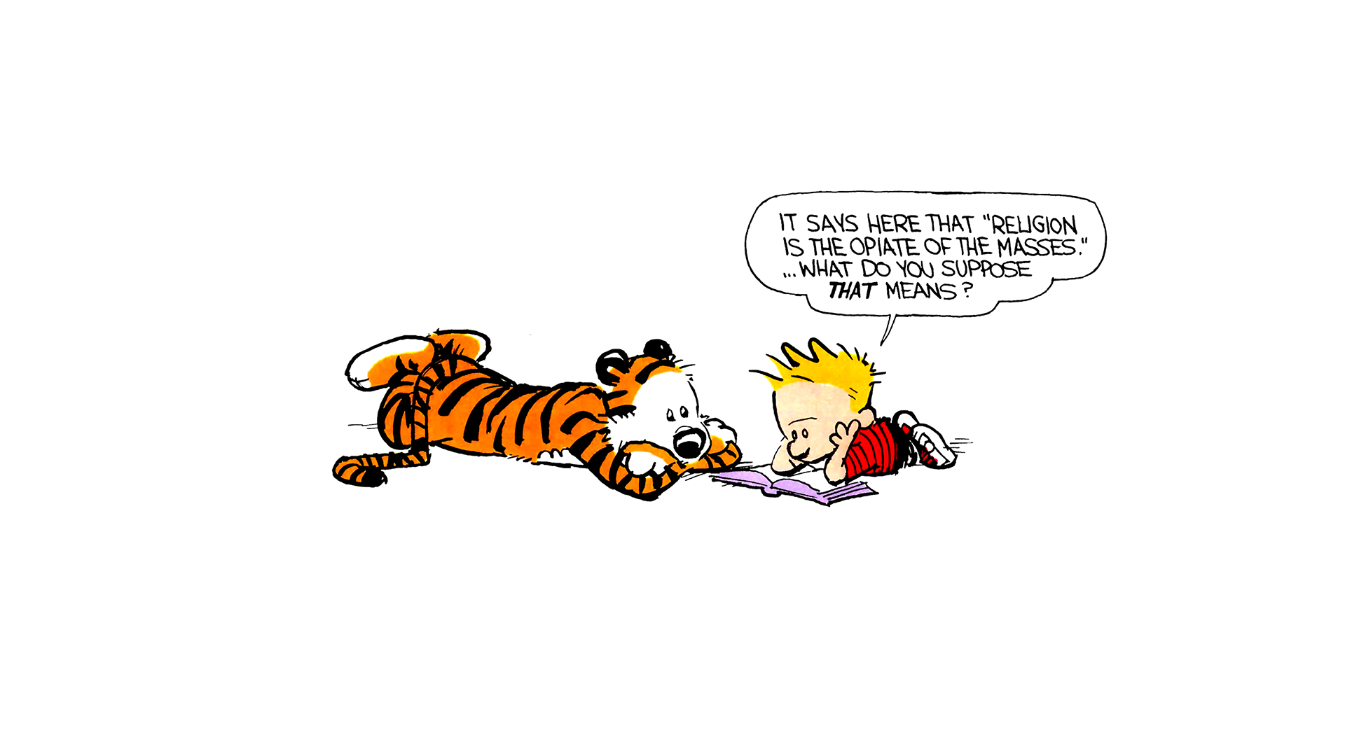 Calvin & Hobbes Backgrounds, Compatible - PC, Mobile, Gadgets| 1920x1080 px