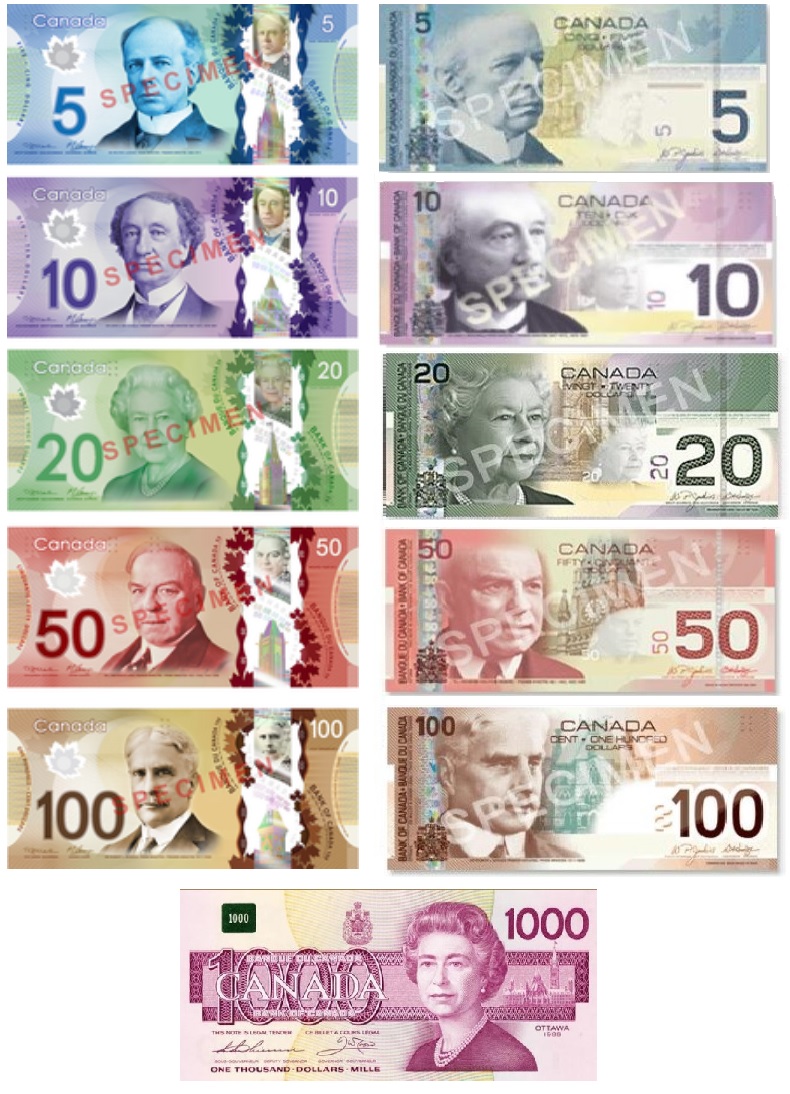 Canadian Dollar Backgrounds, Compatible - PC, Mobile, Gadgets| 790x1094 px