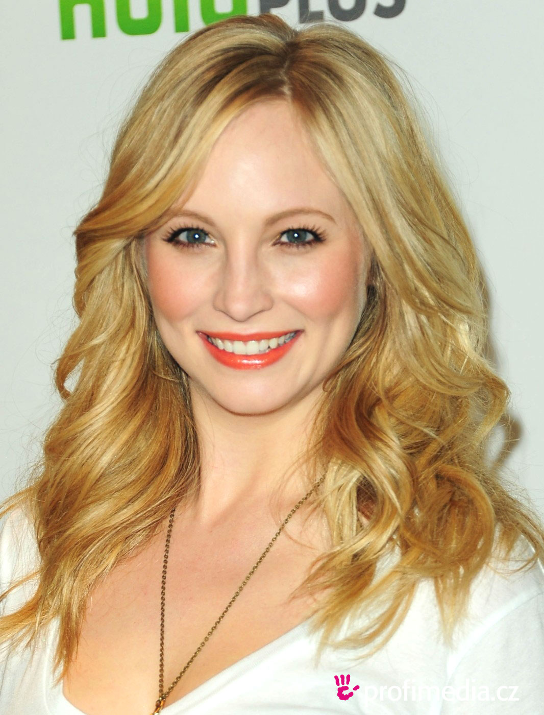 Nice wallpapers Candice Accola 1066x1400px
