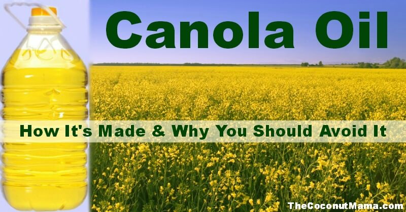 Canola High Quality Background on Wallpapers Vista