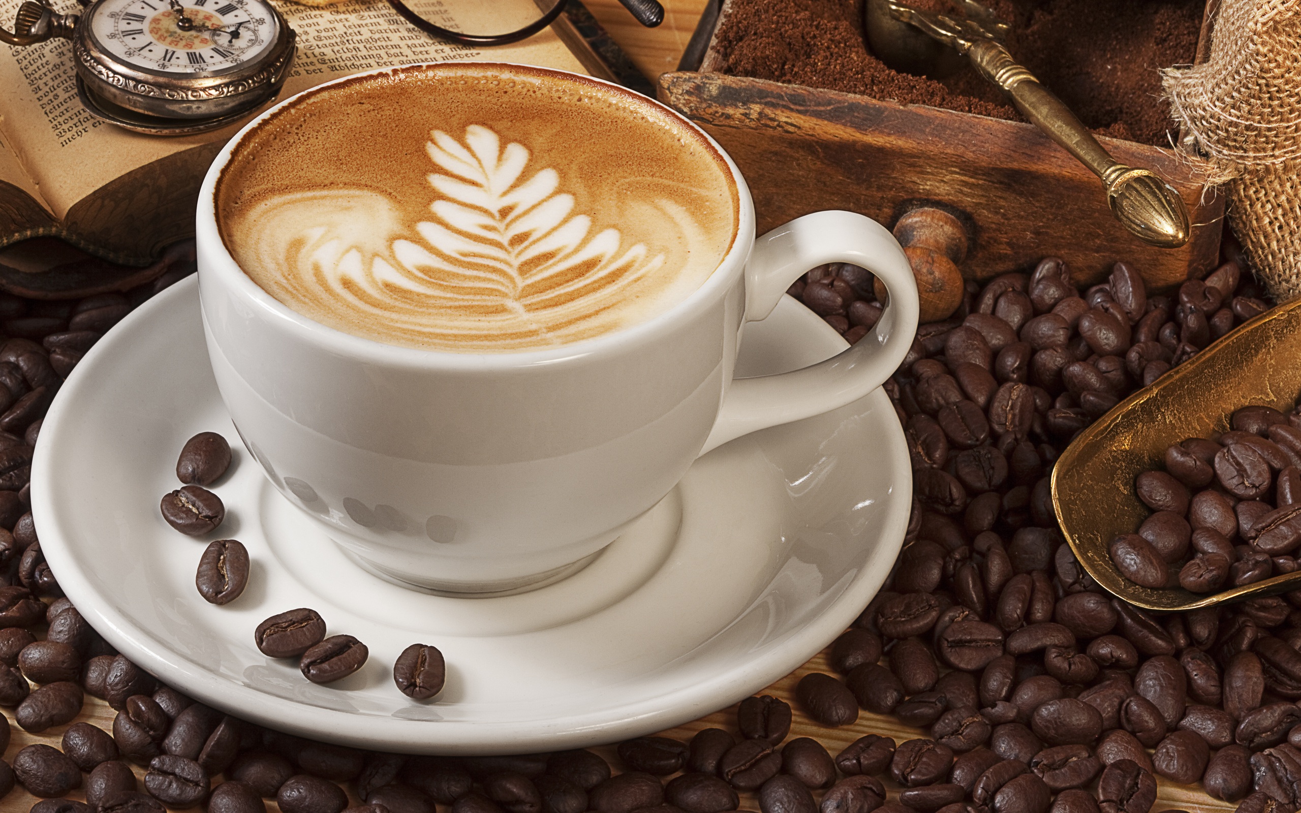 2560x1600 > Cappuccino Wallpapers