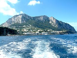 Capri Pics, Man Made Collection