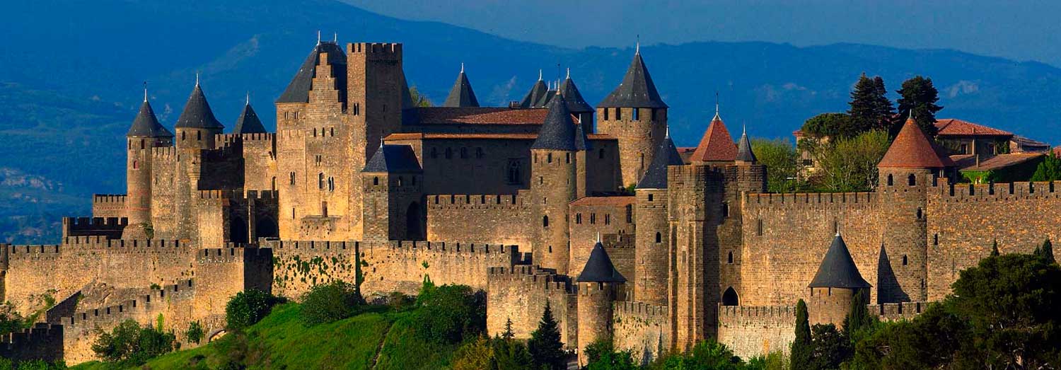 Carcassonne #19
