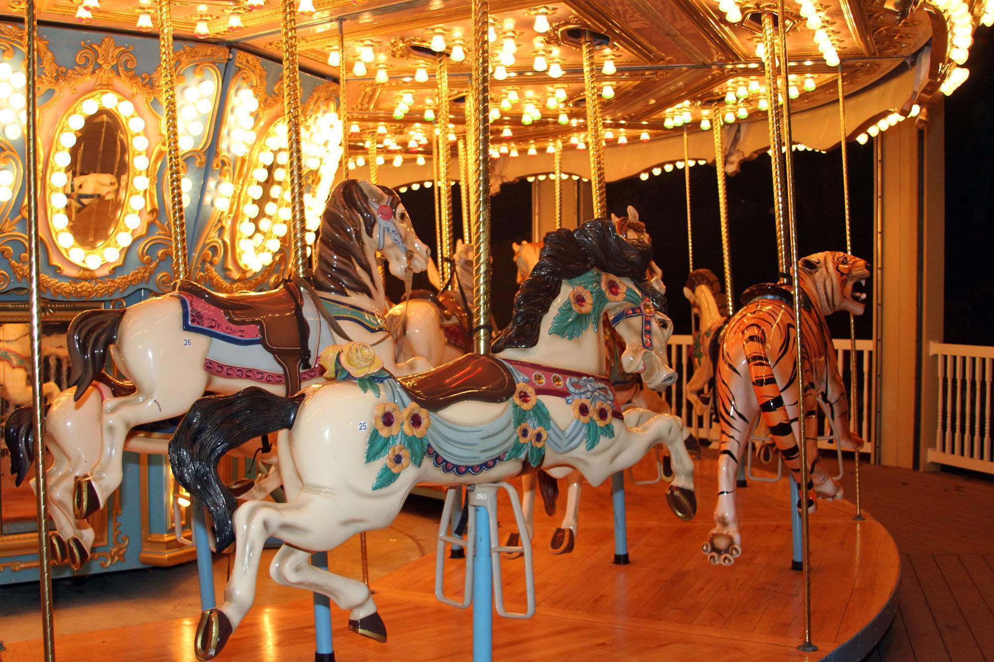 Carousel Backgrounds, Compatible - PC, Mobile, Gadgets| 2000x1333 px