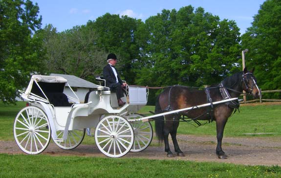 Nice wallpapers Carriage 575x364px