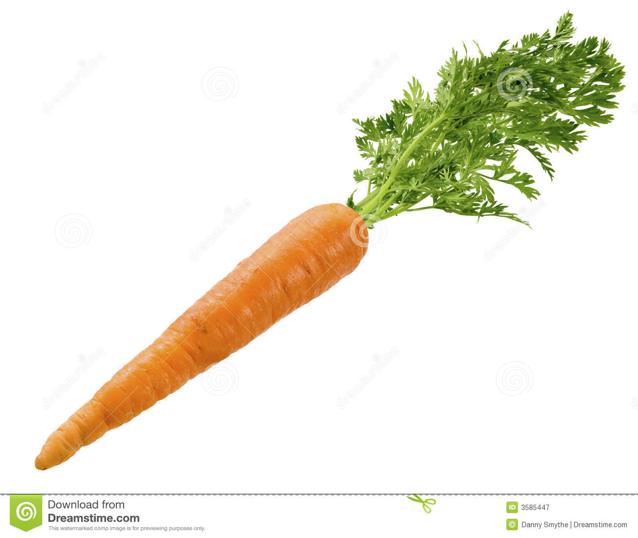 Carrot Backgrounds on Wallpapers Vista