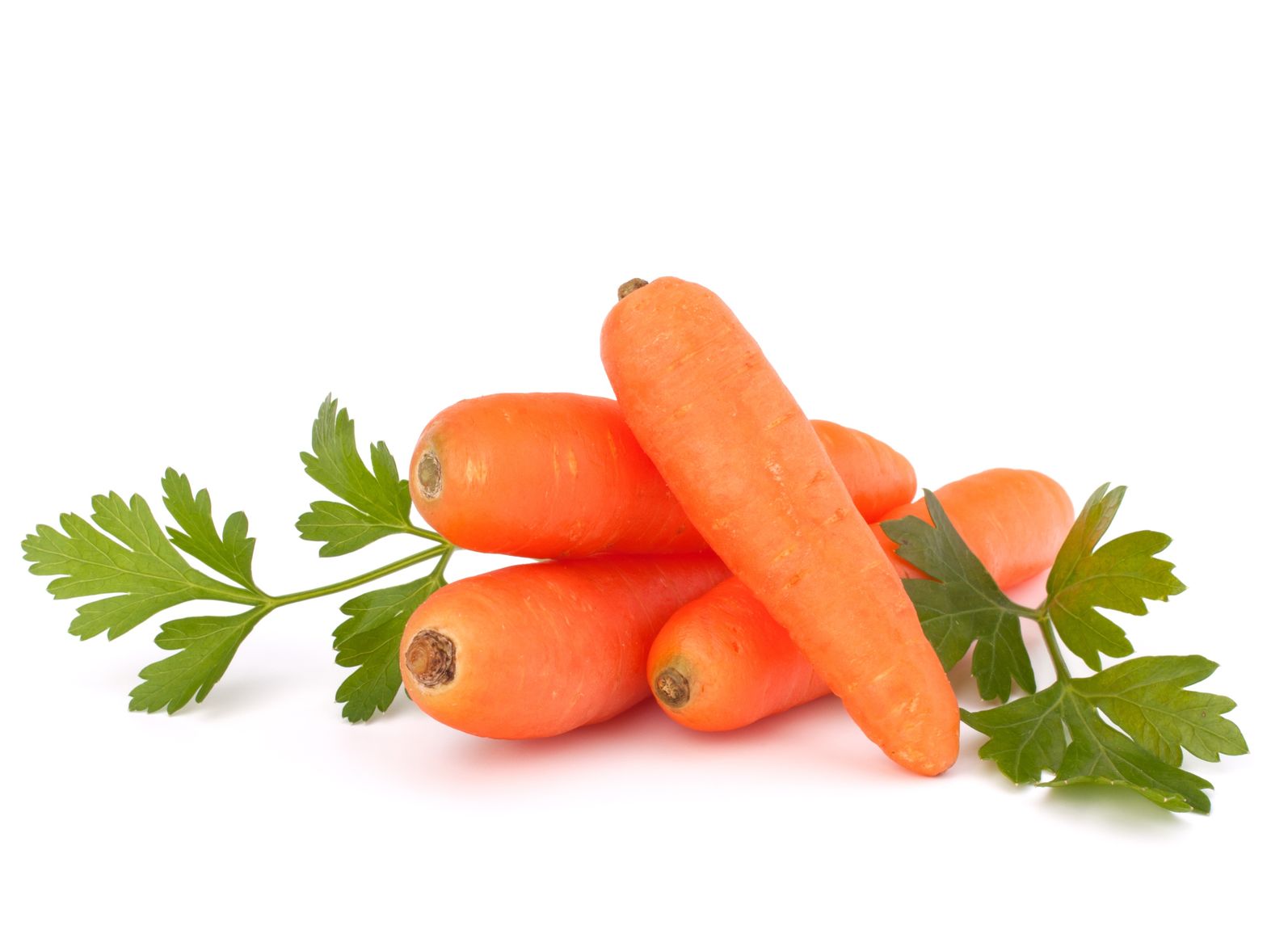 Amazing Carrot Pictures & Backgrounds