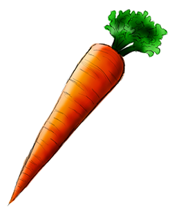 HD Quality Wallpaper | Collection: Food, 249x304 Carrot