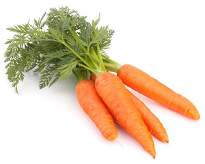Nice Images Collection: Carrot Desktop Wallpapers