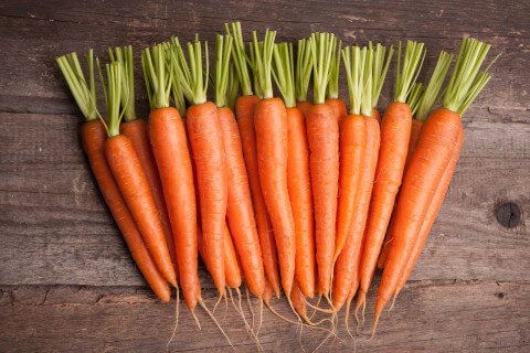 Carrot High Quality Background on Wallpapers Vista