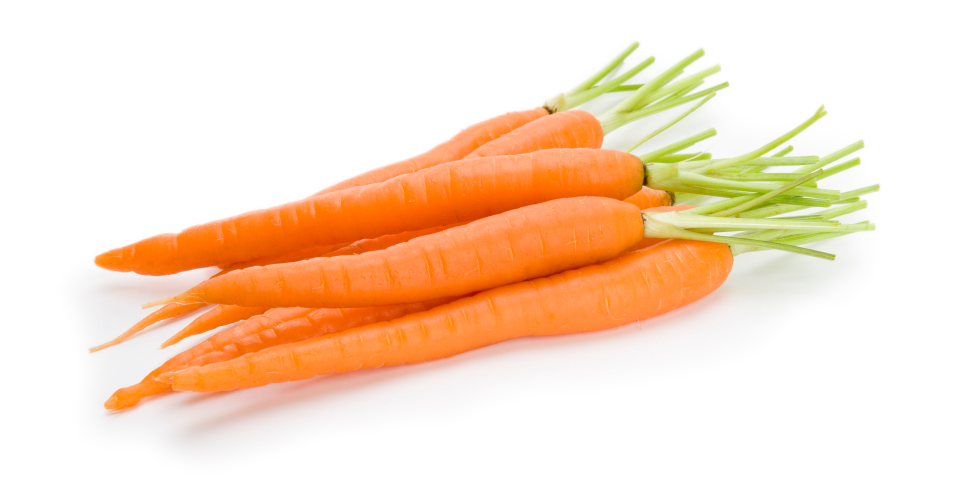 Carrot High Quality Background on Wallpapers Vista