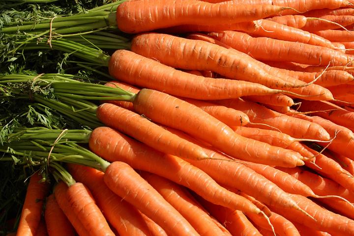 Amazing Carrot Pictures & Backgrounds
