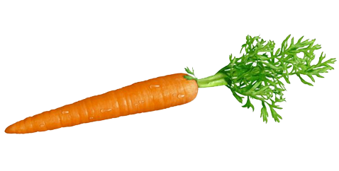 Carrot Backgrounds, Compatible - PC, Mobile, Gadgets| 478x242 px