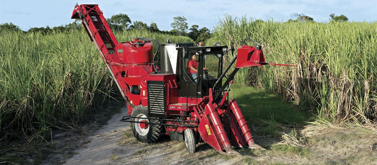 Case Sugarcane Harvester #20