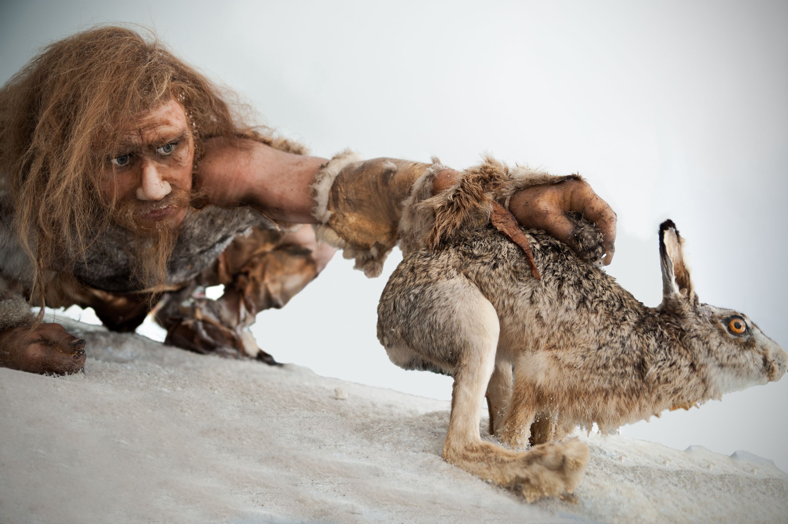 Amazing Cavemen Pictures & Backgrounds