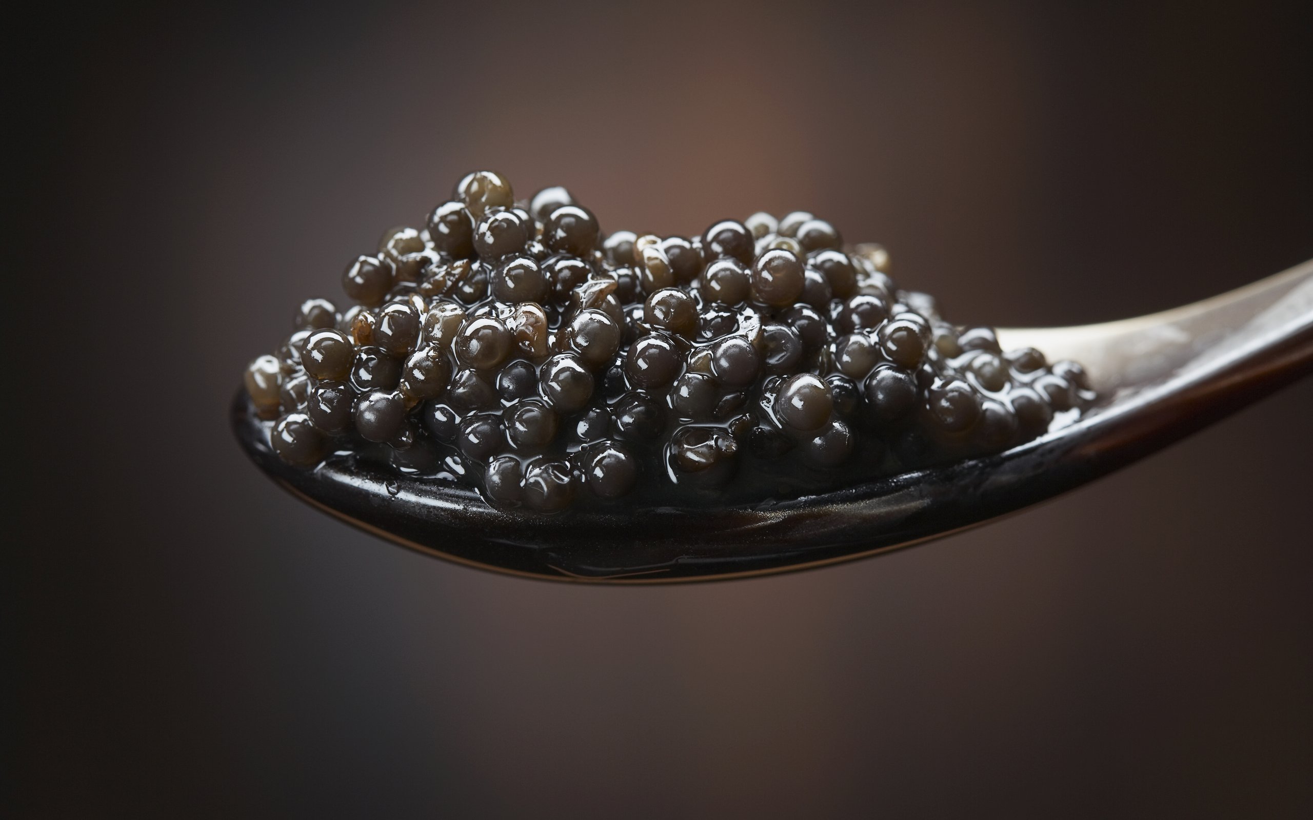 Caviar Backgrounds, Compatible - PC, Mobile, Gadgets| 2560x1600 px
