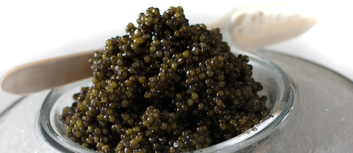 Images of Caviar | 1200x522