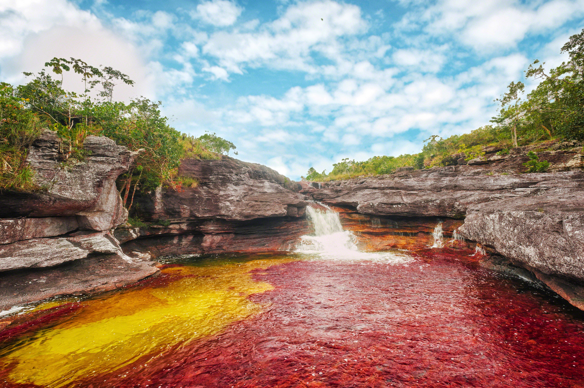 Caño Cristales Pics, Earth Collection