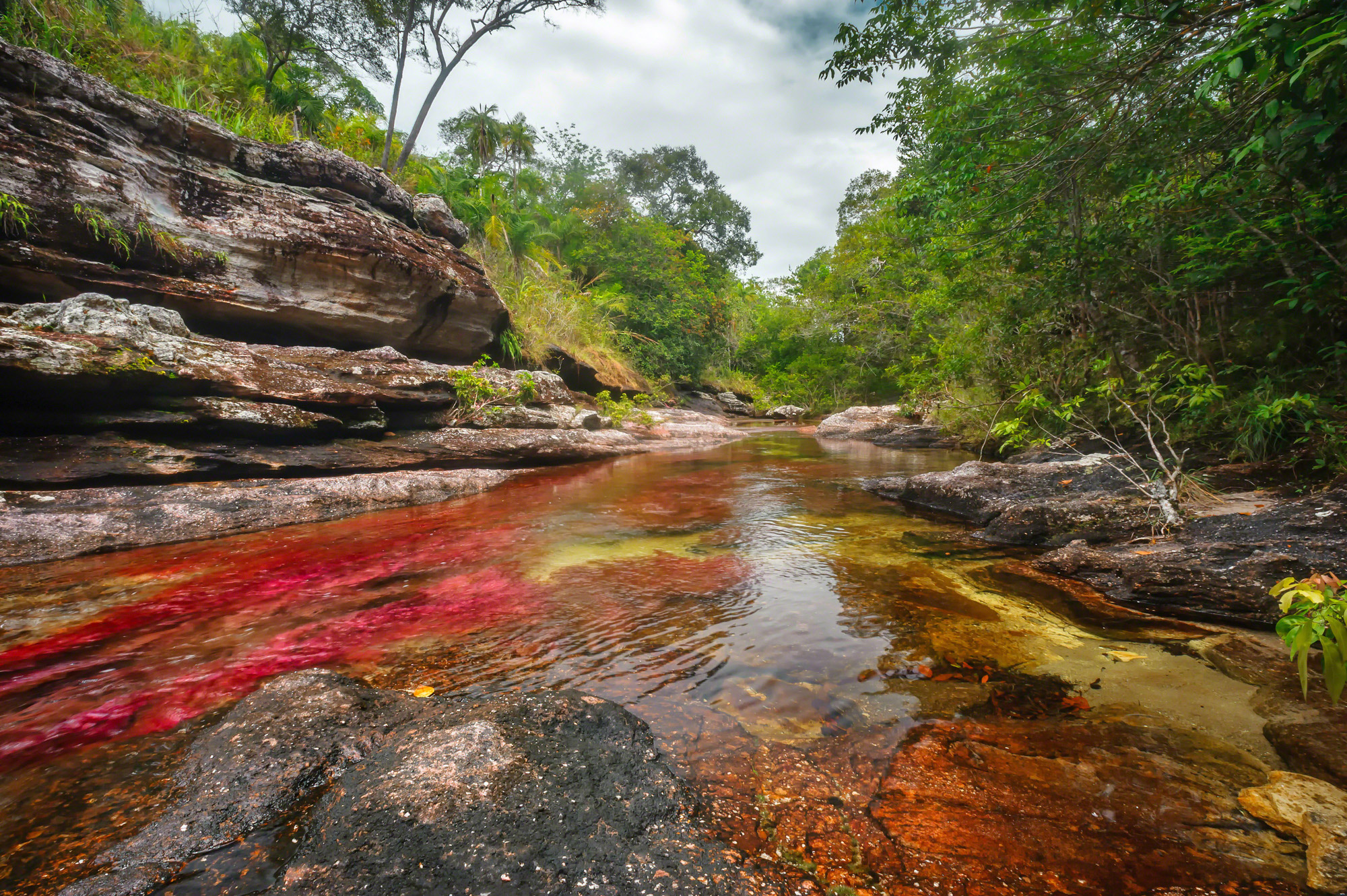 HQ Caño Cristales Wallpapers | File 1162.14Kb