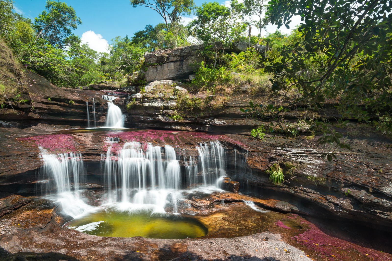 Images of Caño Cristales | 1600x1068