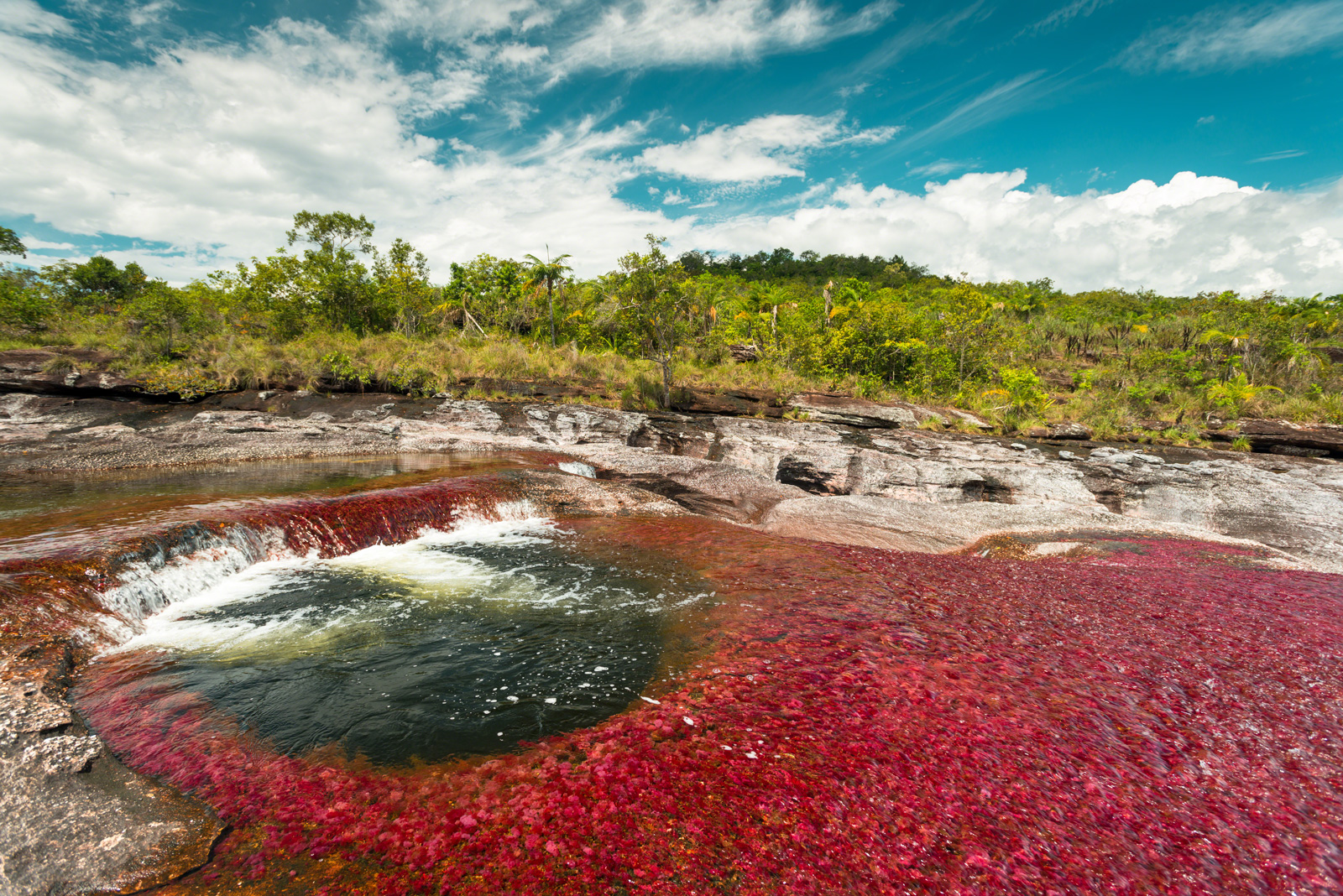 Nice Images Collection: Caño Cristales Desktop Wallpapers