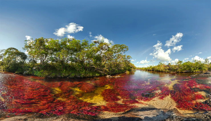Nice wallpapers Caño Cristales 740x426px