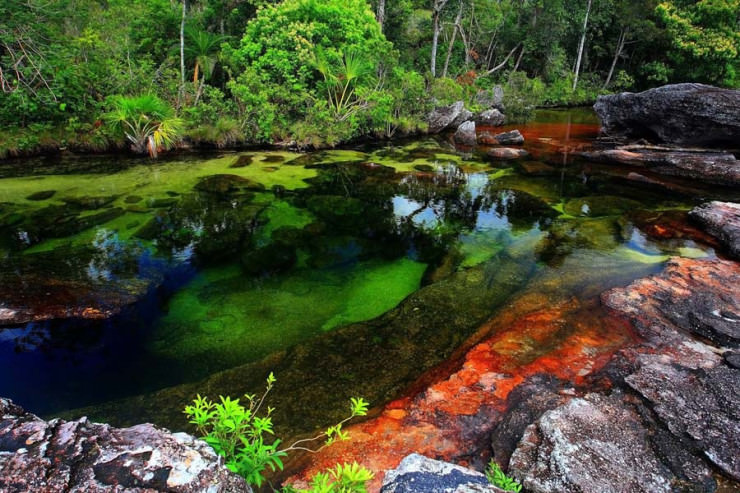 Amazing Caño Cristales Pictures & Backgrounds