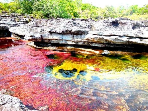 Caño Cristales High Quality Background on Wallpapers Vista