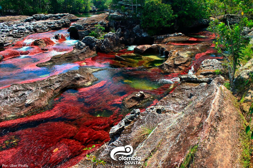 Nice wallpapers Caño Cristales 1068x712px