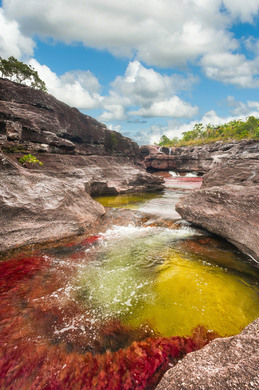 HQ Caño Cristales Wallpapers | File 50.33Kb