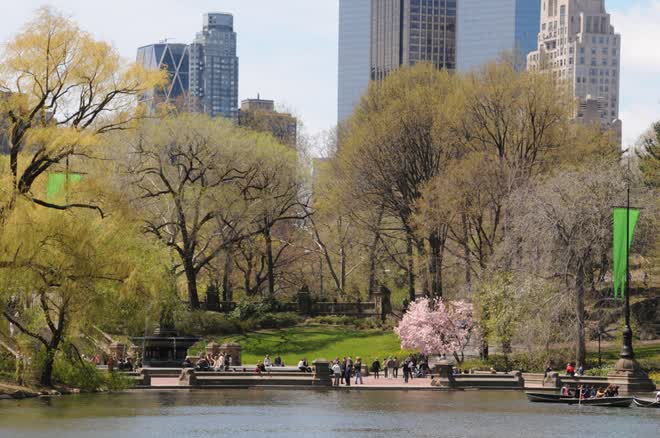 660x438 > Central Park Wallpapers