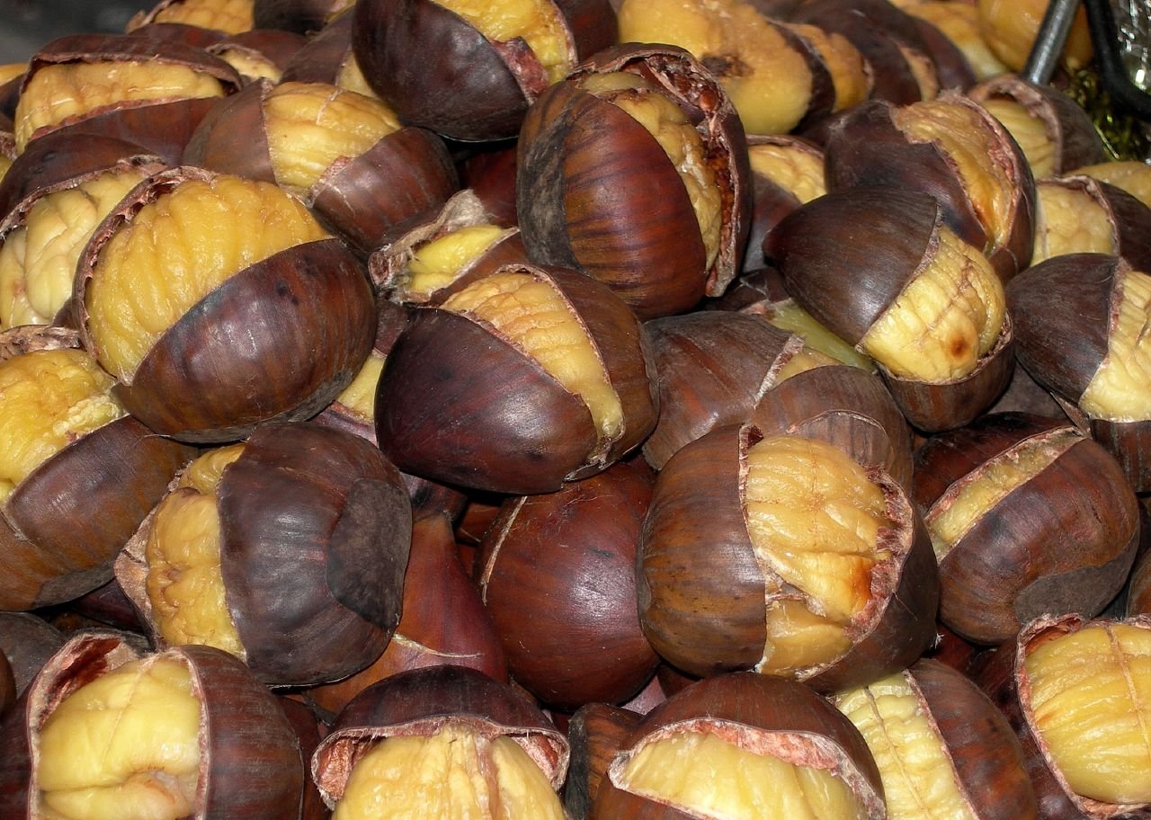Chestnut Pics, Earth Collection