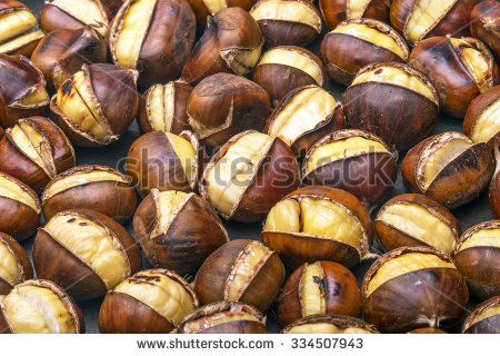 Chestnut Pics, Earth Collection