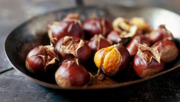 Chestnut High Quality Background on Wallpapers Vista