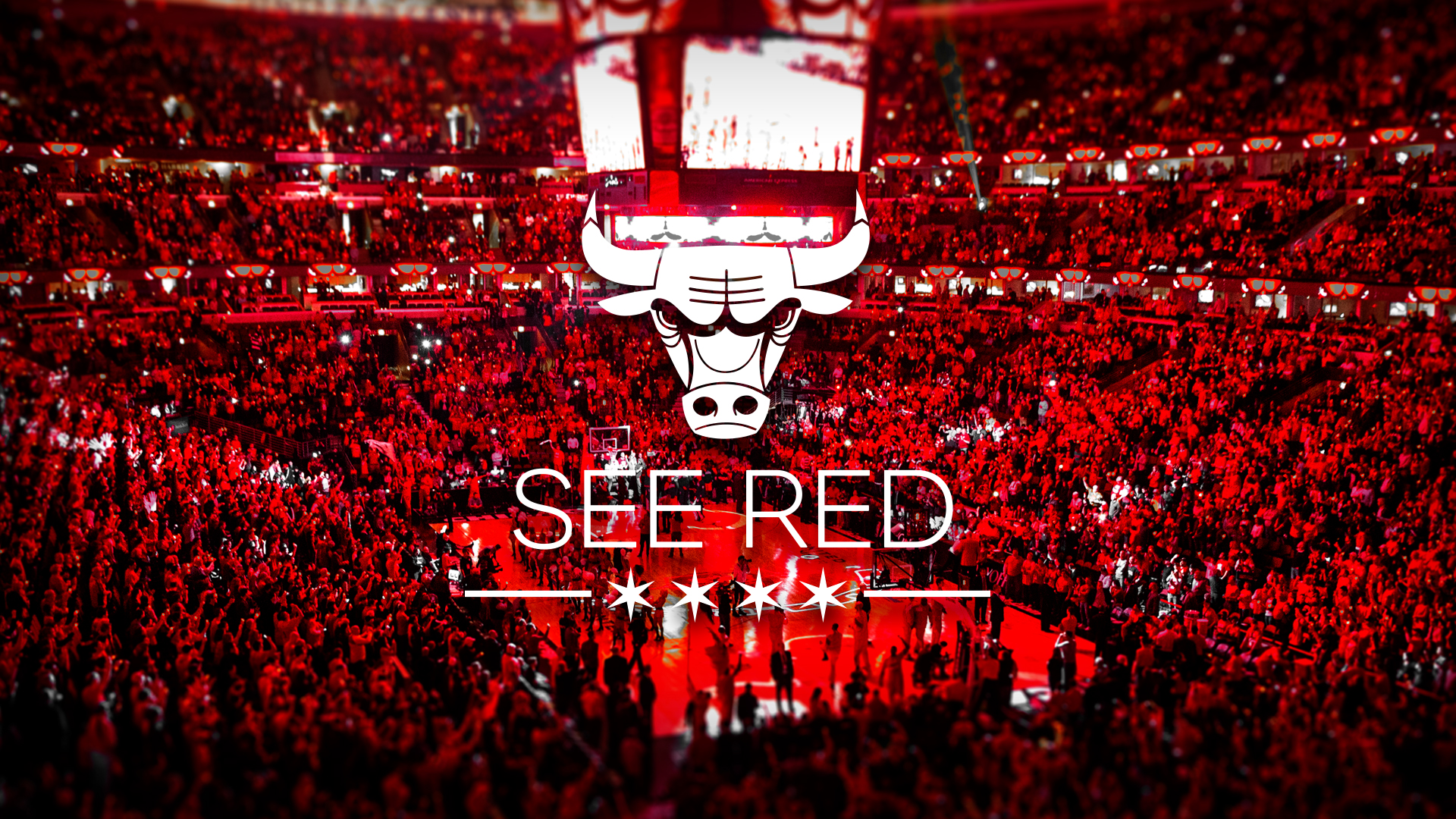 Nice wallpapers Chicago Bulls 1920x1080px