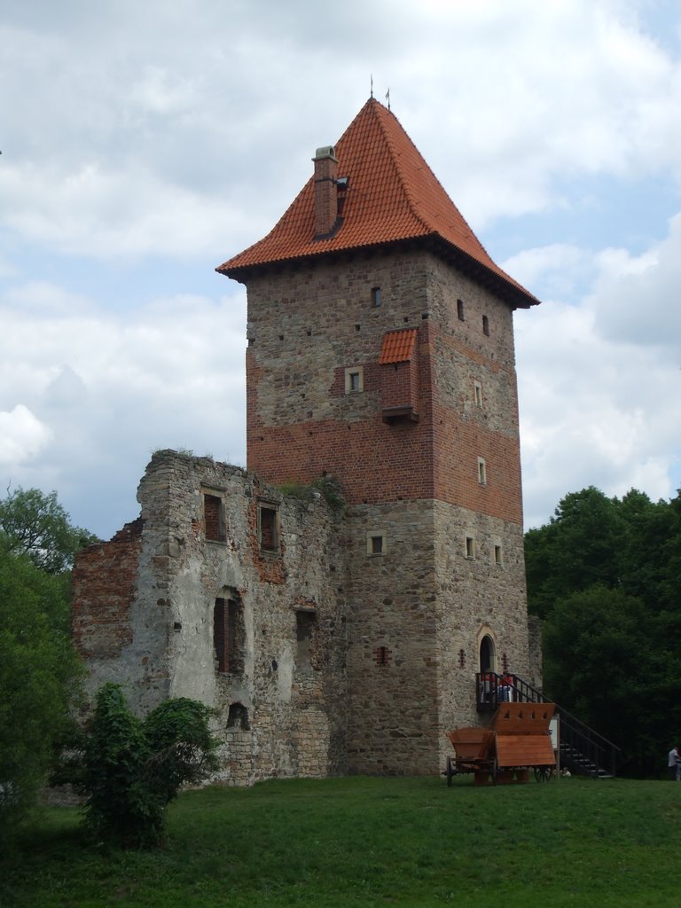 Amazing Chudów Castle Pictures & Backgrounds