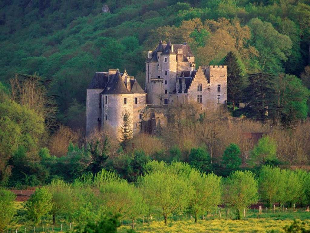 Château De Fayrac #16