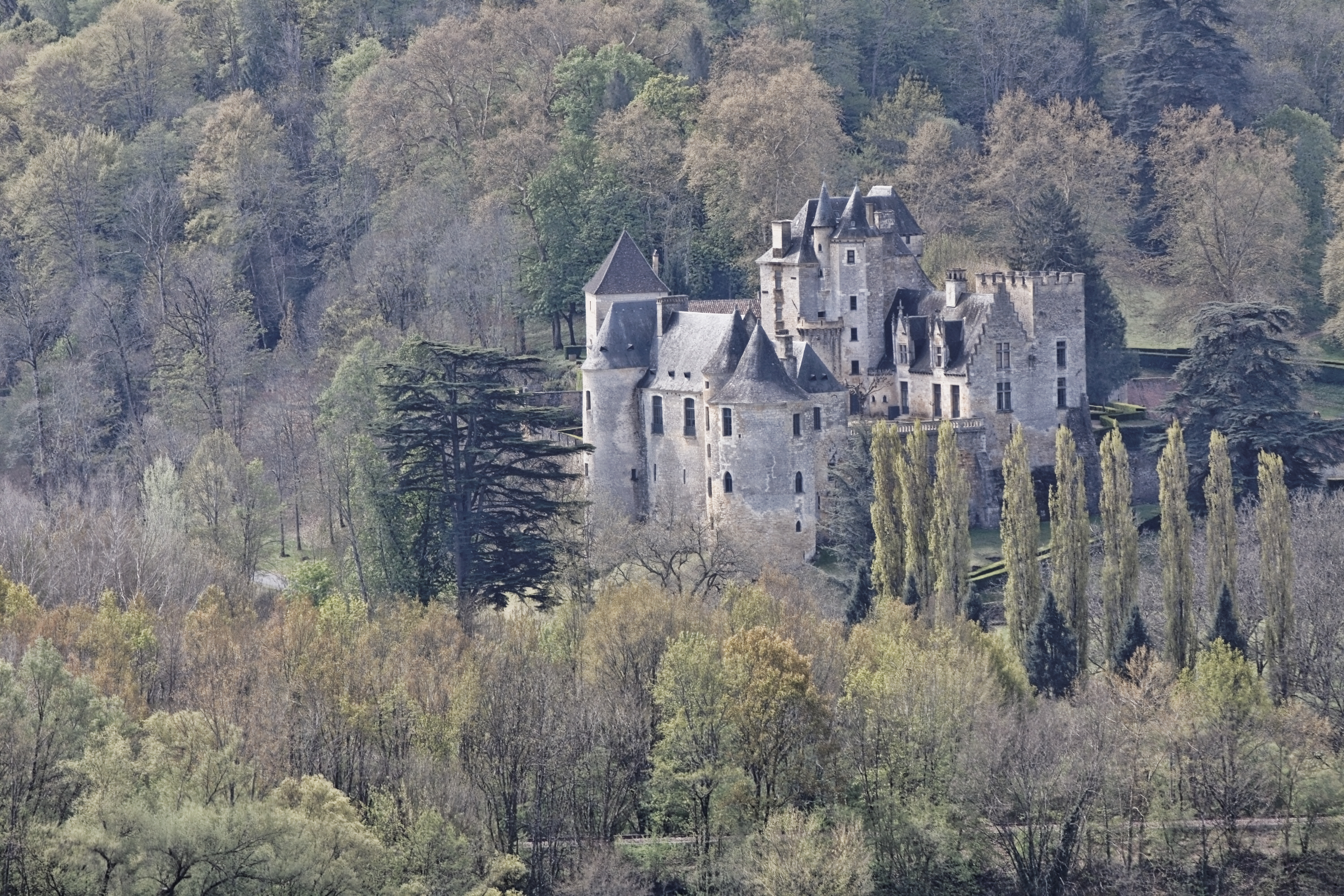 Château De Fayrac #14