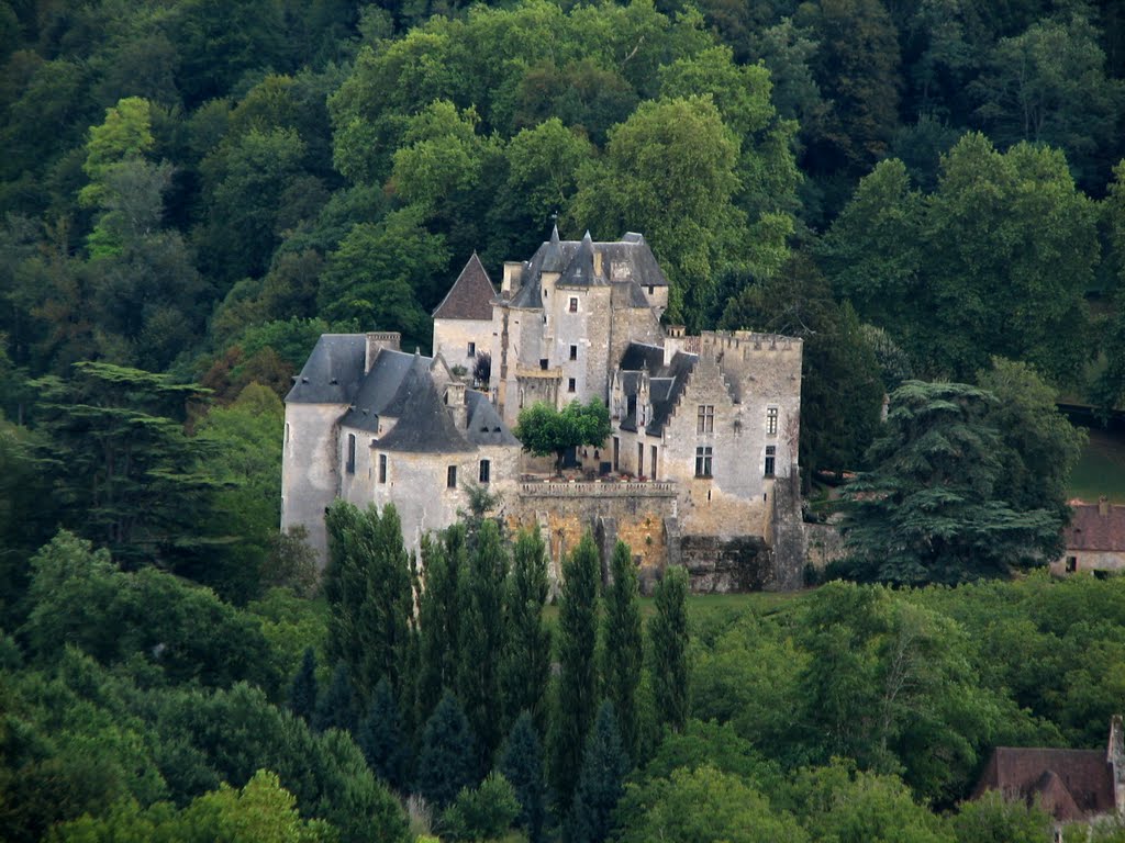 Château De Fayrac #22