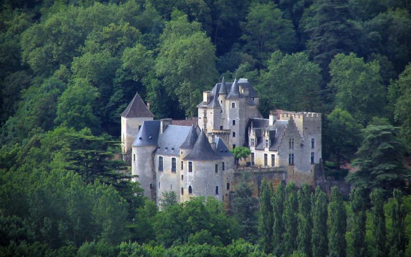 Château De Fayrac #11