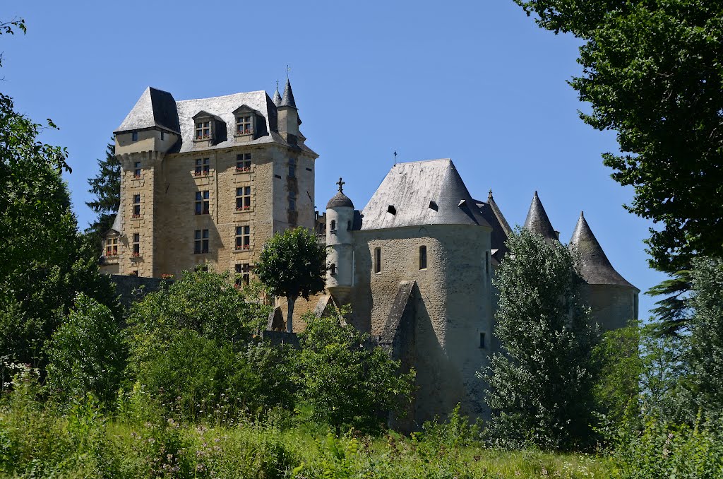 Château De Fayrac #10
