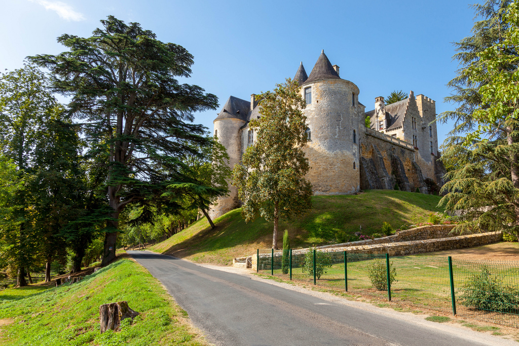 Château De Fayrac #7