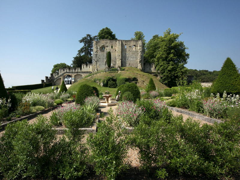 Château De Langeais #1