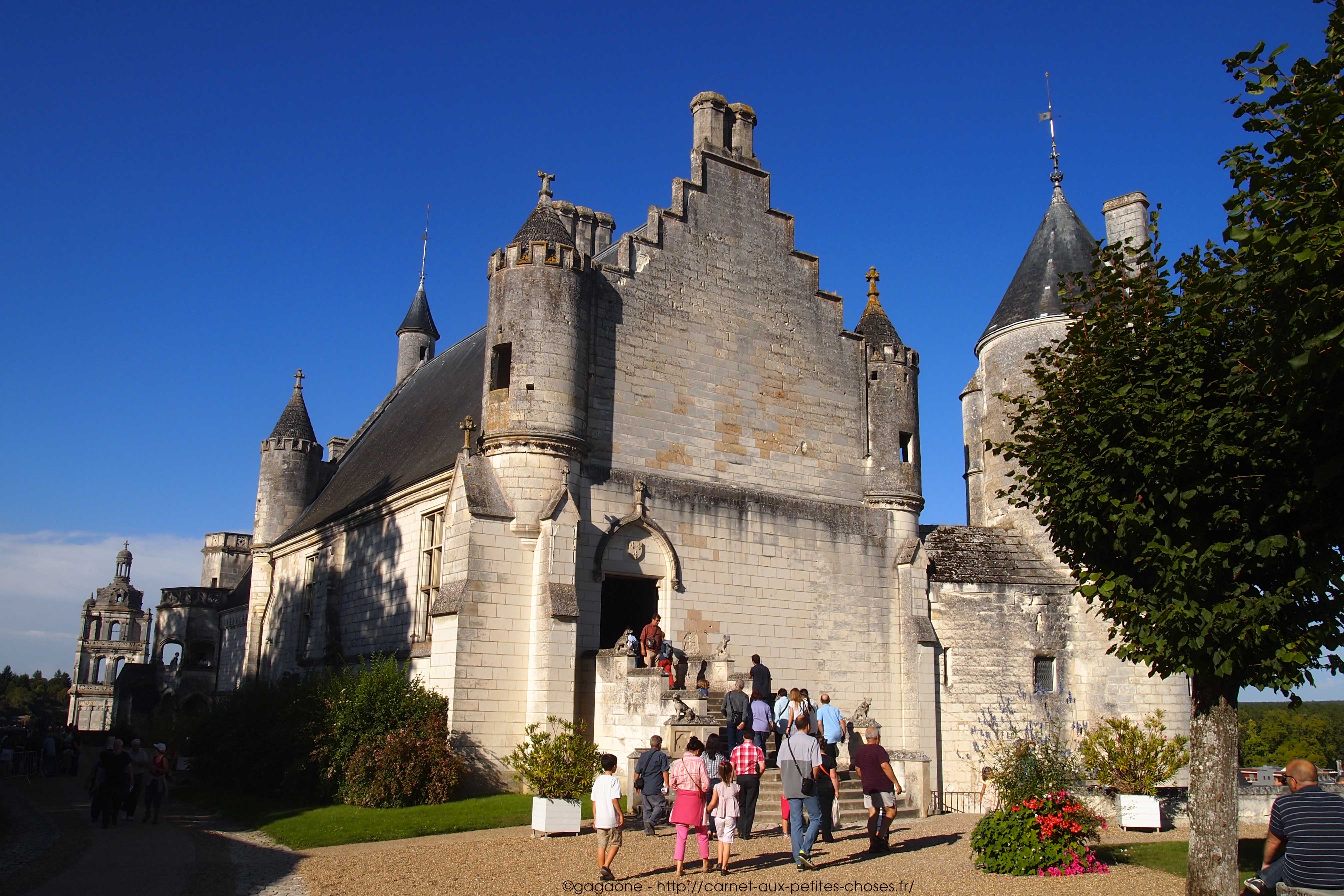 Château De Loches #7