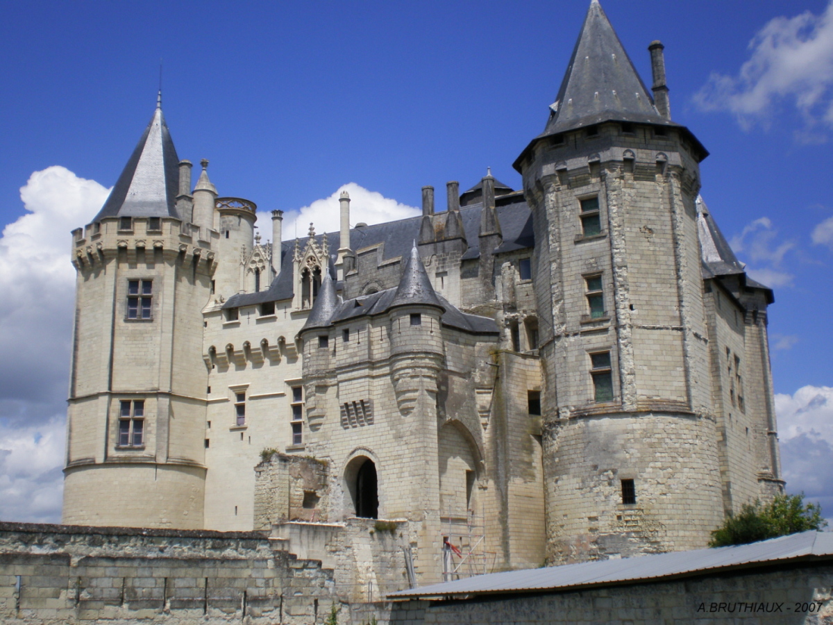 Château De Saumur #10
